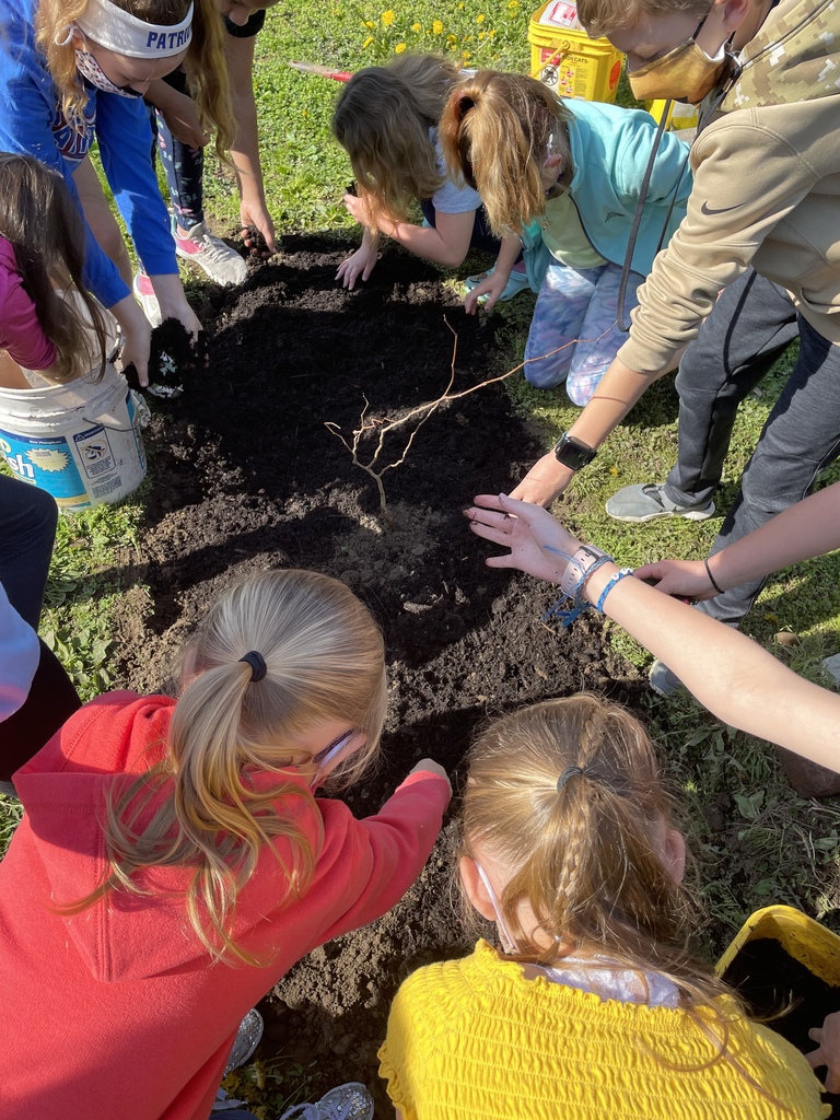 Woodsdale Students Planting a Tree