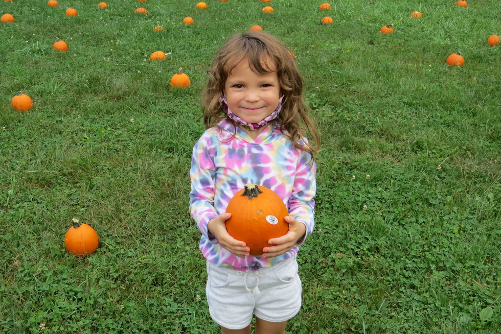 Middle Creek Pumpkin Contest